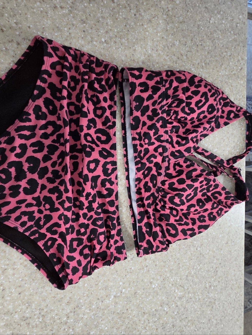 Hot Pink Leopard Print Two-Piece Swim Set